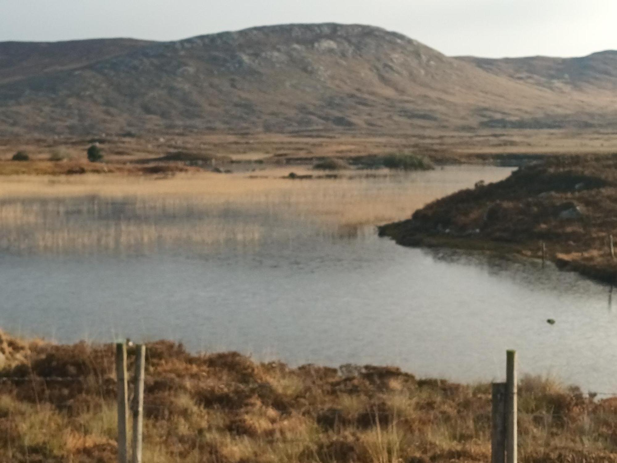 Connemara Lake View Apartment Camus Eighter Exteriör bild