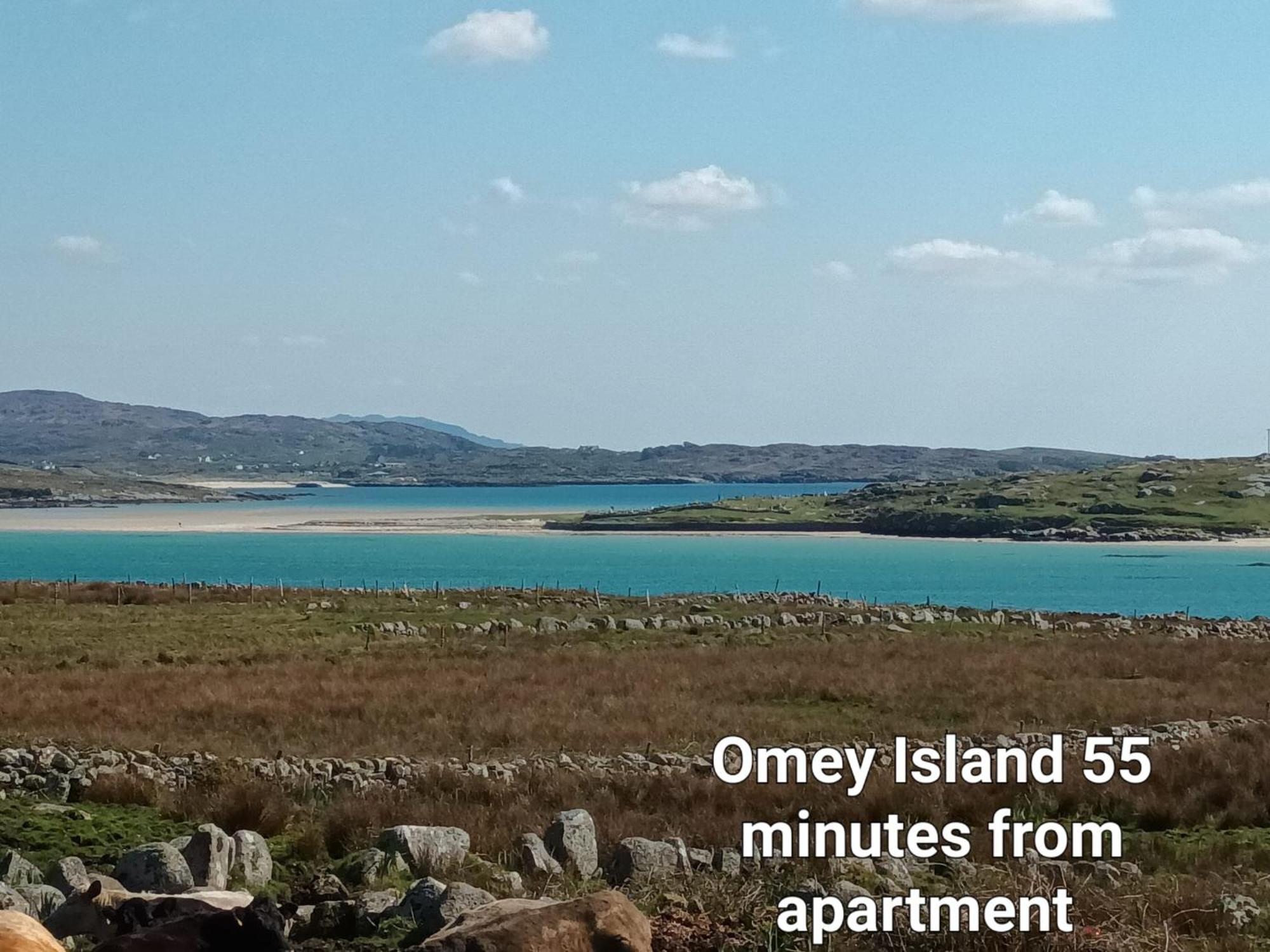 Connemara Lake View Apartment Camus Eighter Exteriör bild