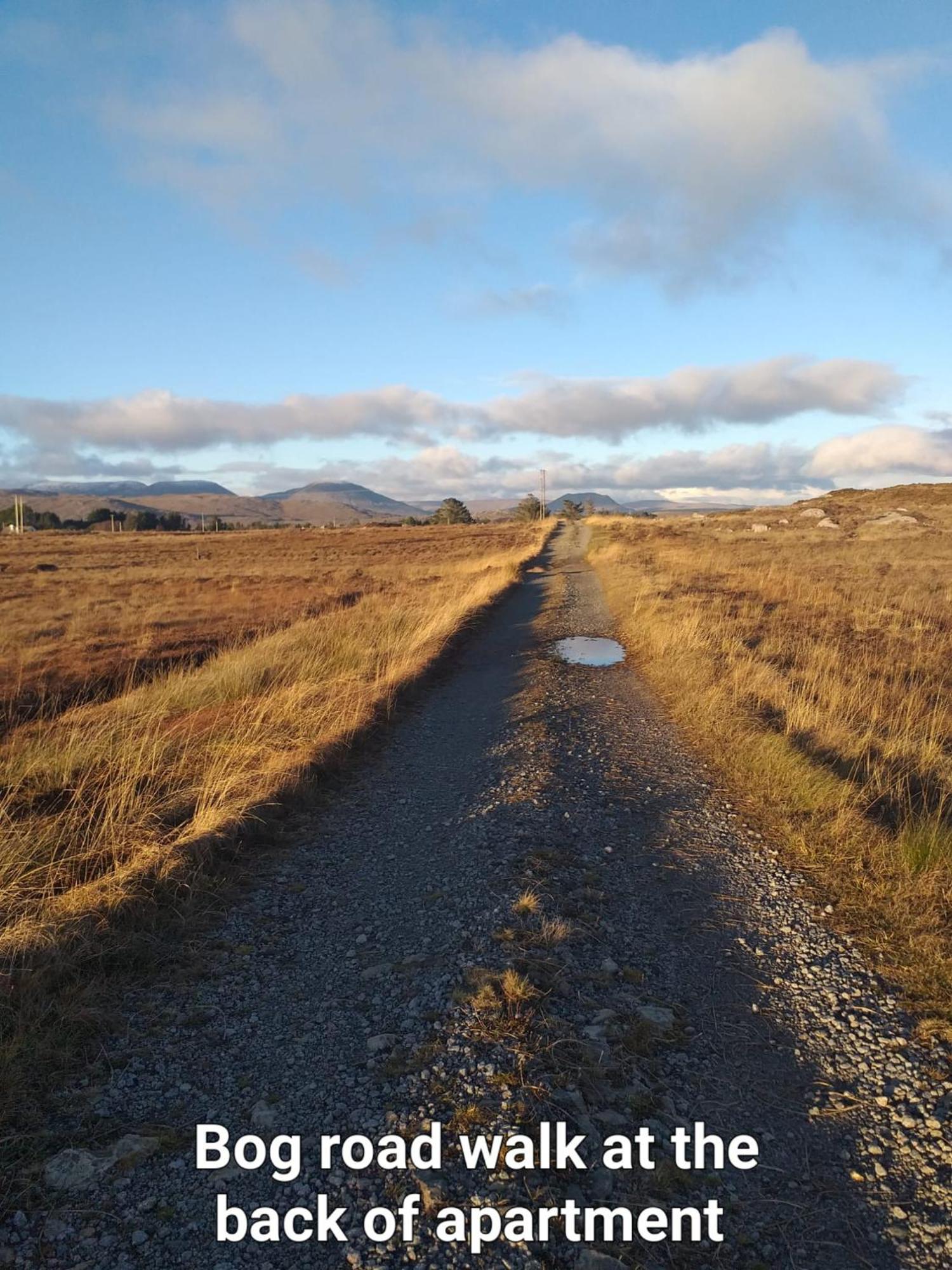Connemara Lake View Apartment Camus Eighter Exteriör bild