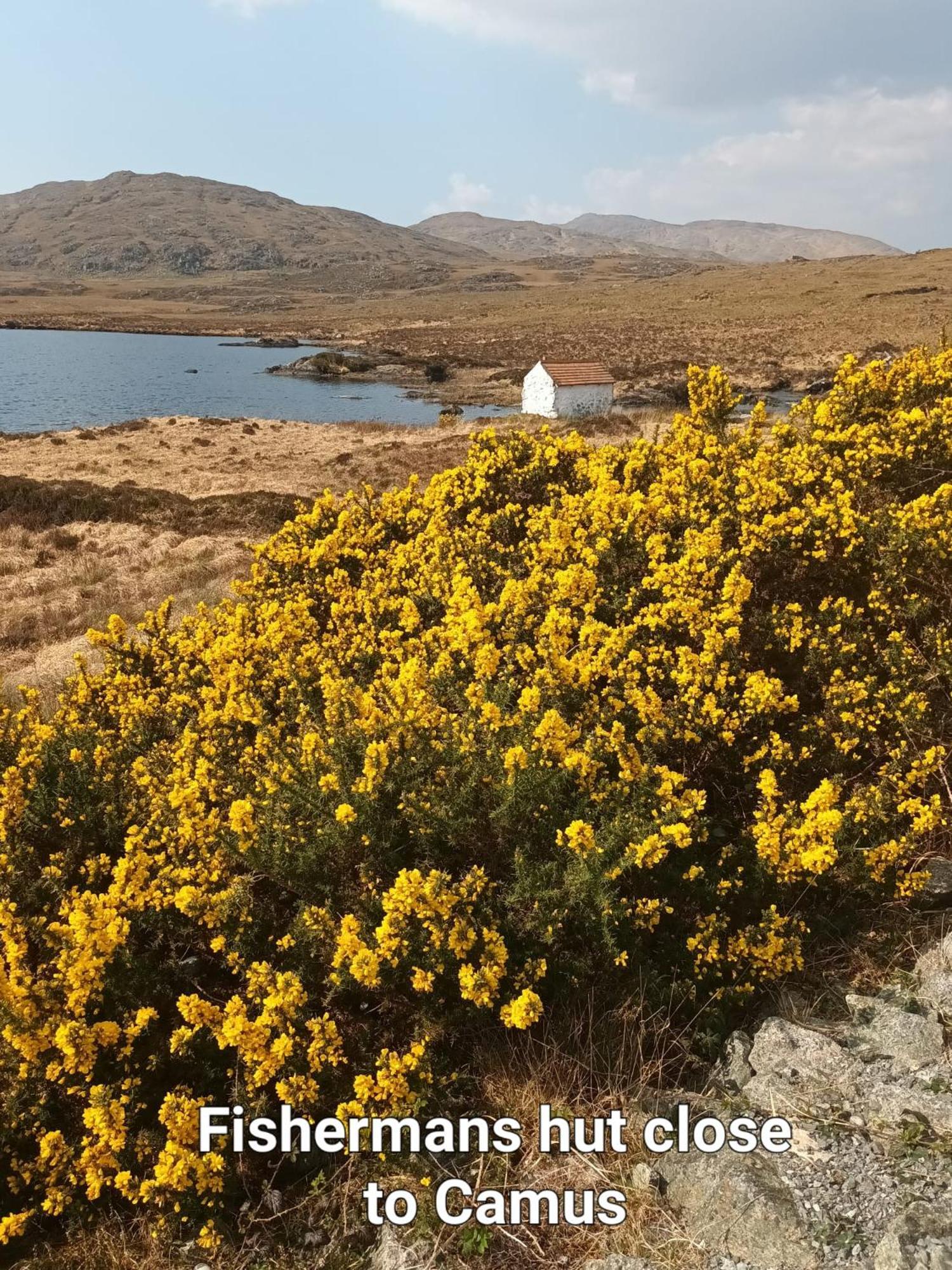 Connemara Lake View Apartment Camus Eighter Exteriör bild